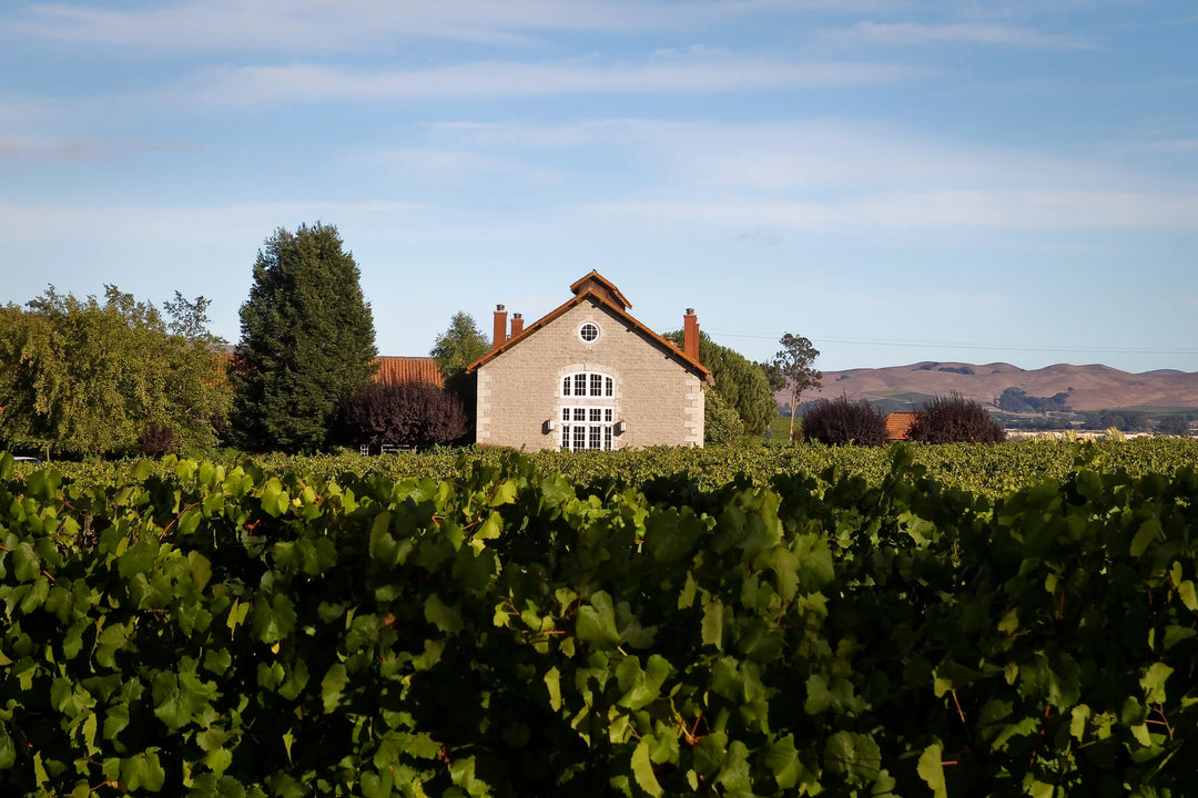 ETUDE Winery