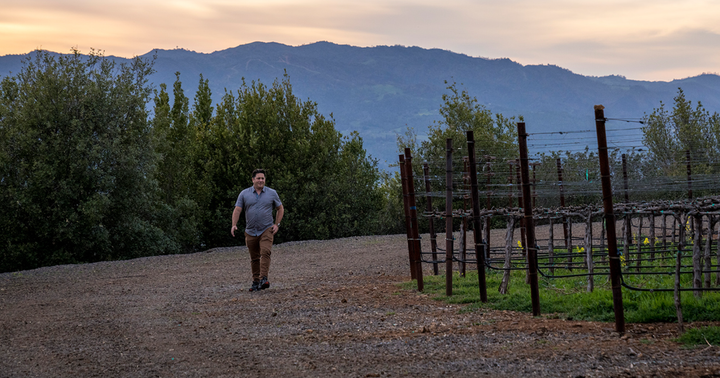 Julien Fayard Wines