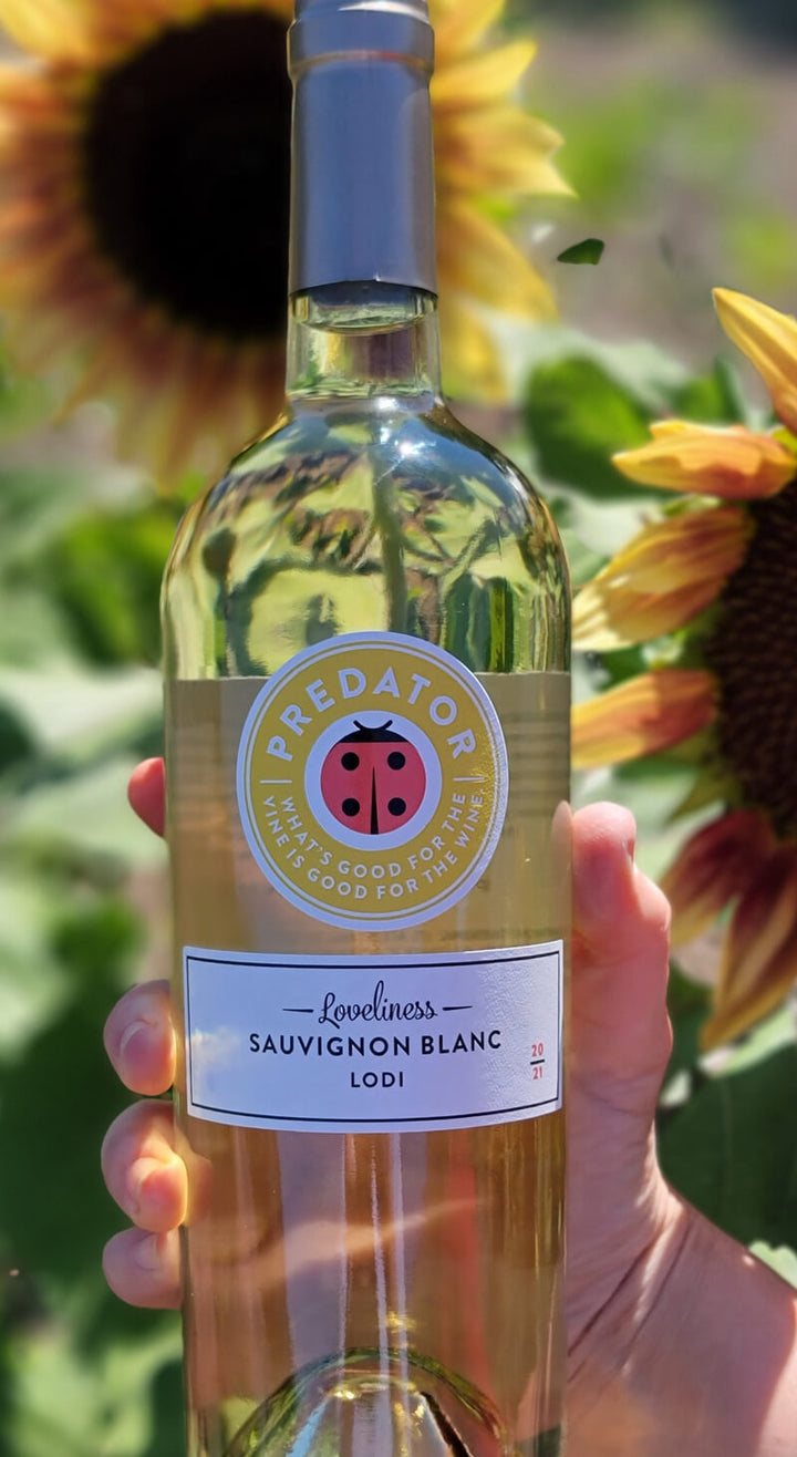 Predator Wines